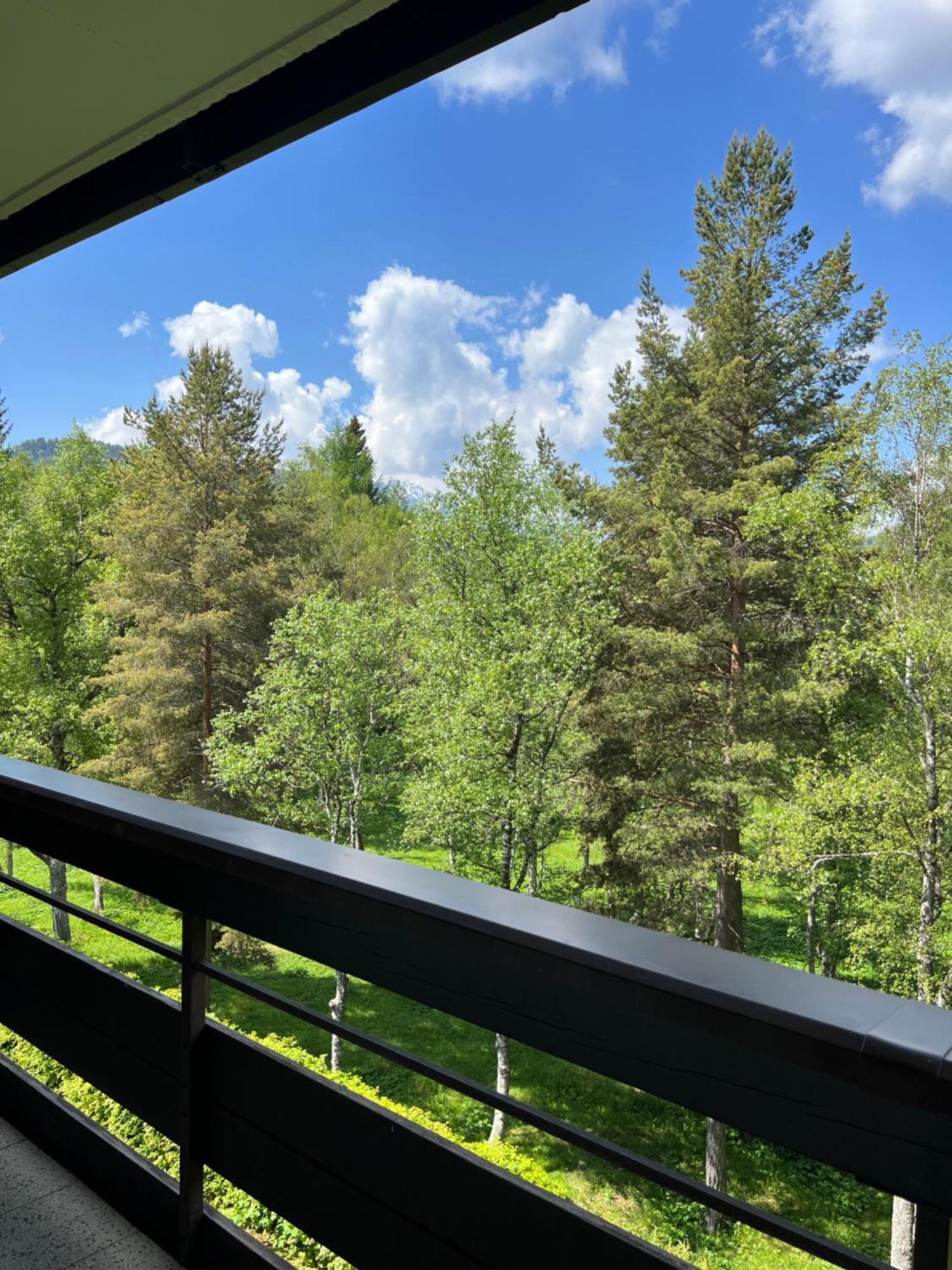 Appartementhaus Birkenwald Seefeld in Tirol Exterior foto